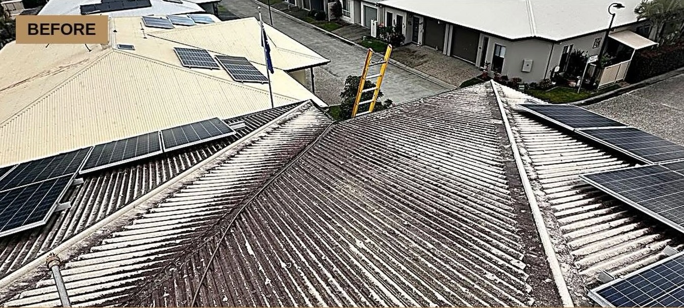 Weathered tile roof before ADV+ Painting restoration